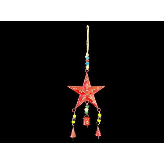 ESTRELLA ROJA '29205 R'