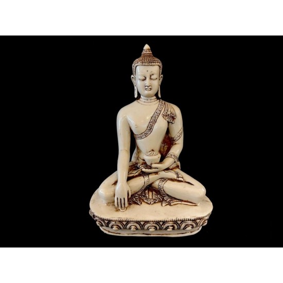 BUDA 21CM 'SM70'